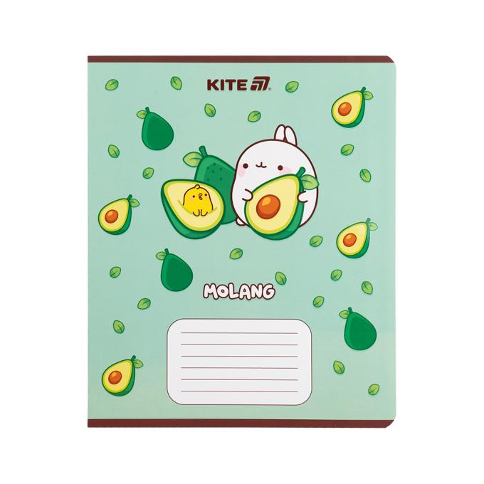 Kite ML25-236