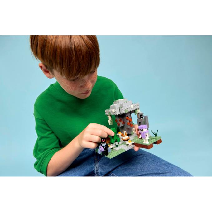 LEGO 21586