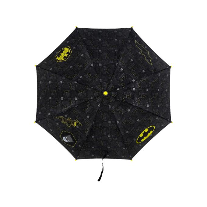 Kite DC25-2001