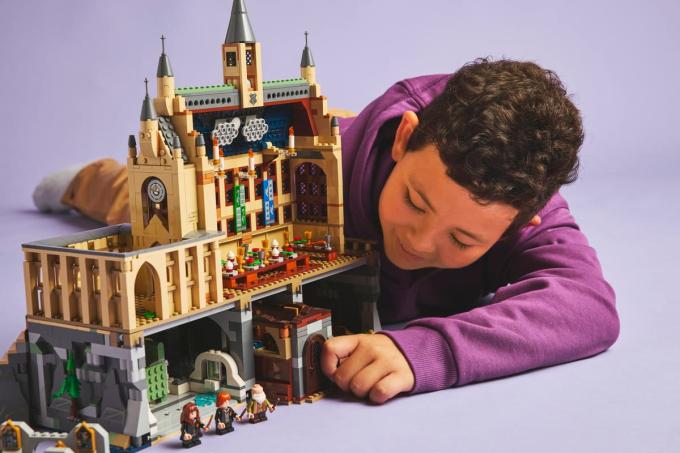 LEGO 76442