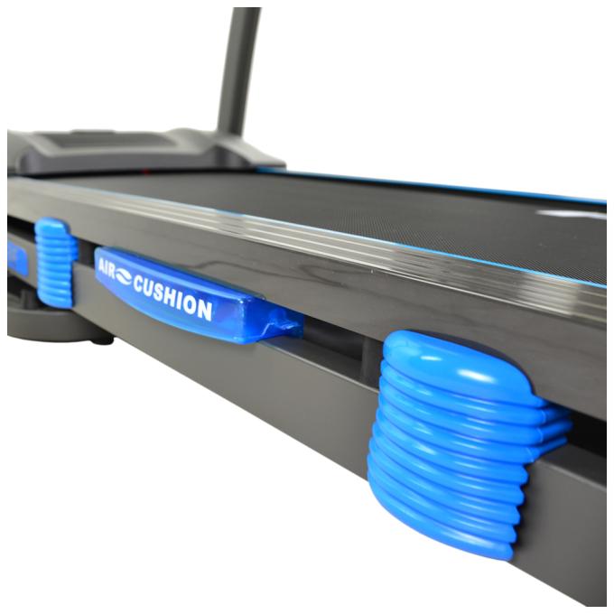 FitLogic T33