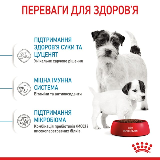 Royal Canin 2990010