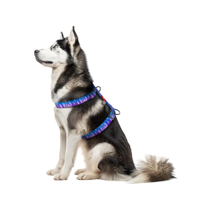 WAUDOG 323-0063