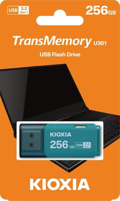 Kioxia LU301L256GG4