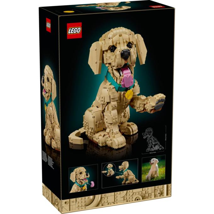 LEGO 11384