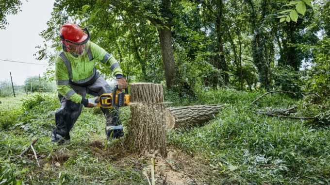 DeWALT DCMCS574N