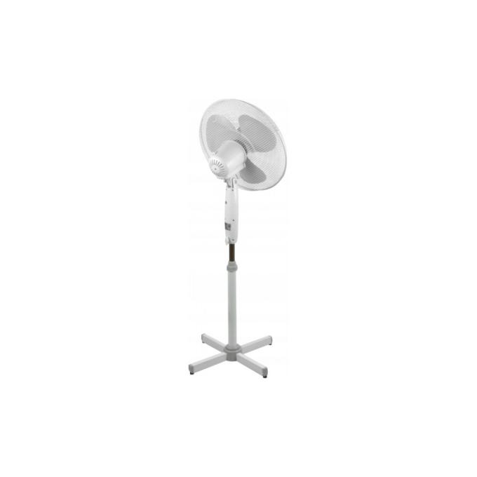 Esperanza EHF001WE