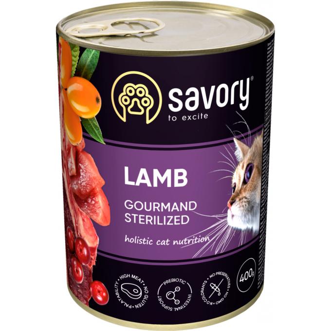 Savory 4820232630730