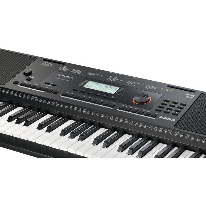 Kurzweil 283683