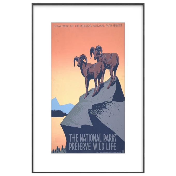 InkPoster PB3150P1-WW