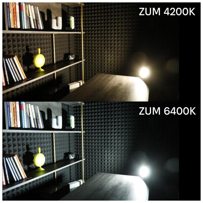 Євросвітло ZUM F02-100 4200K