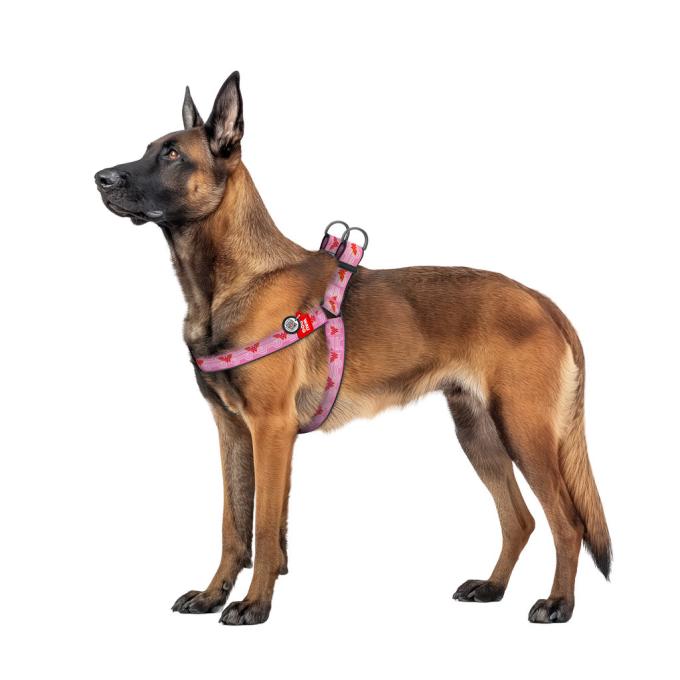 WAUDOG 324-2015