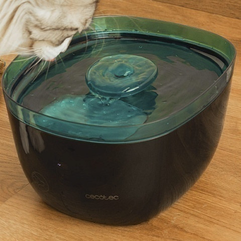 Cecotec CCTC-09561