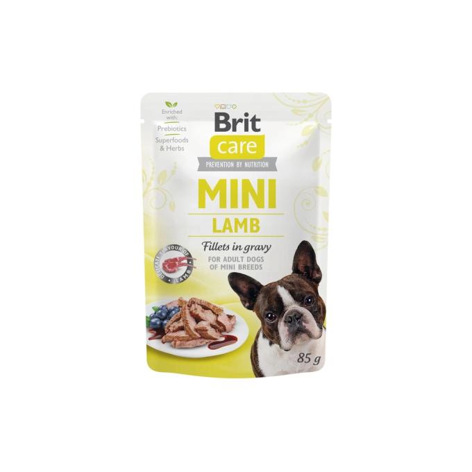 Brit Care 8595602560301