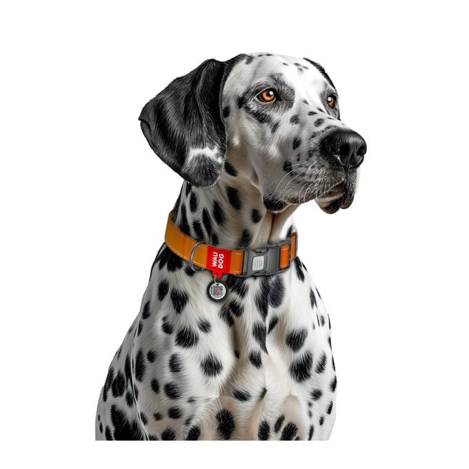 WAUDOG 52094