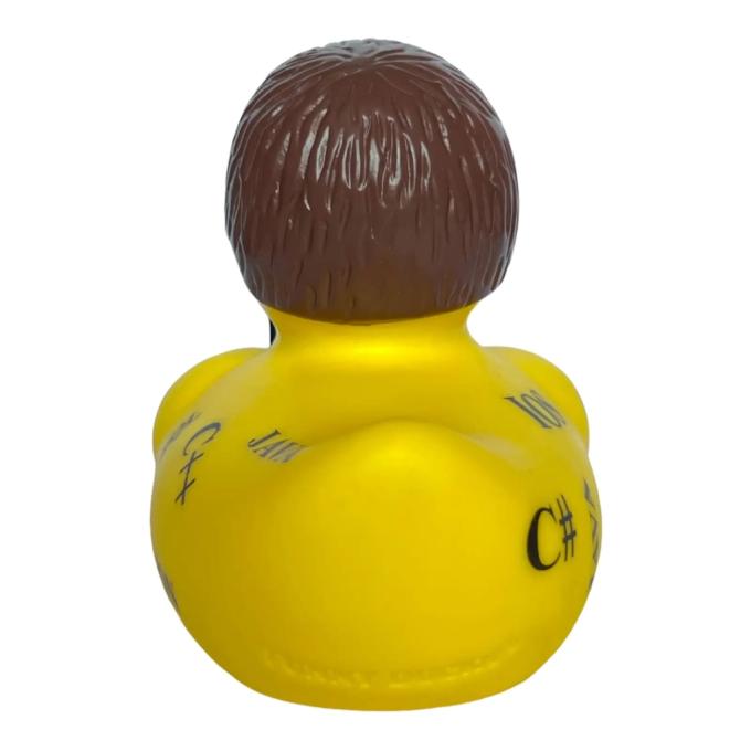 Funny Ducks 1333