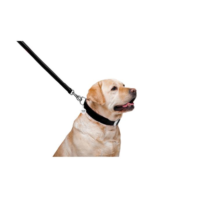 WAUDOG 33761