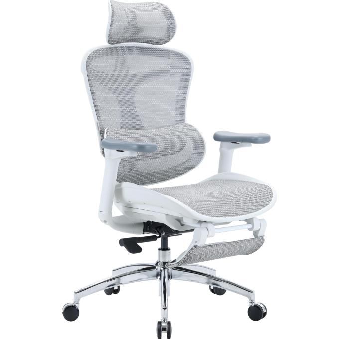 Sihoo DORO-C300L-A3-102-JT