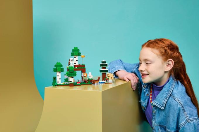 LEGO 21593