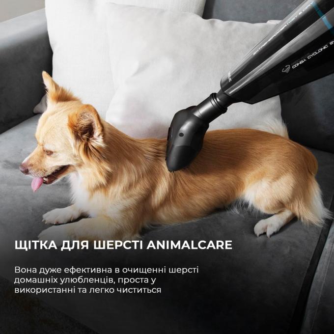 Cecotec CCTC-05441