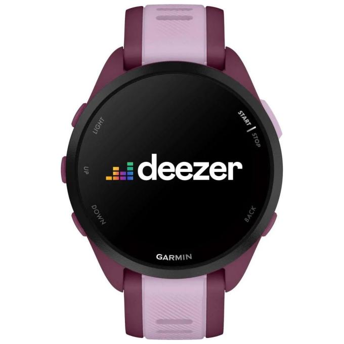 Garmin 010-02863-33