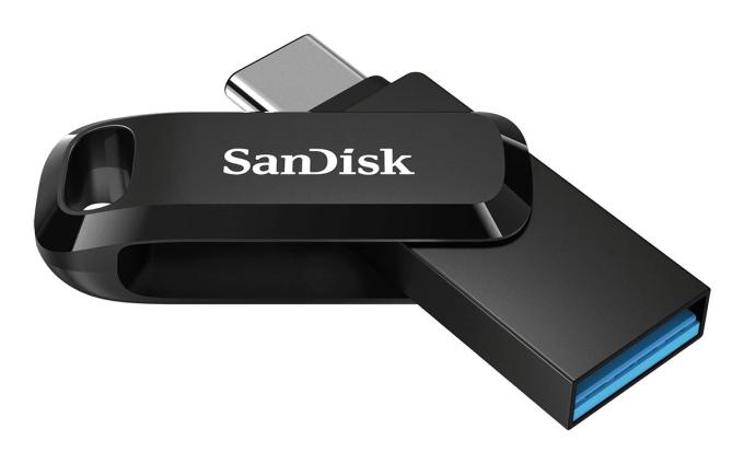 SANDISK SDDDC3-256G-G46