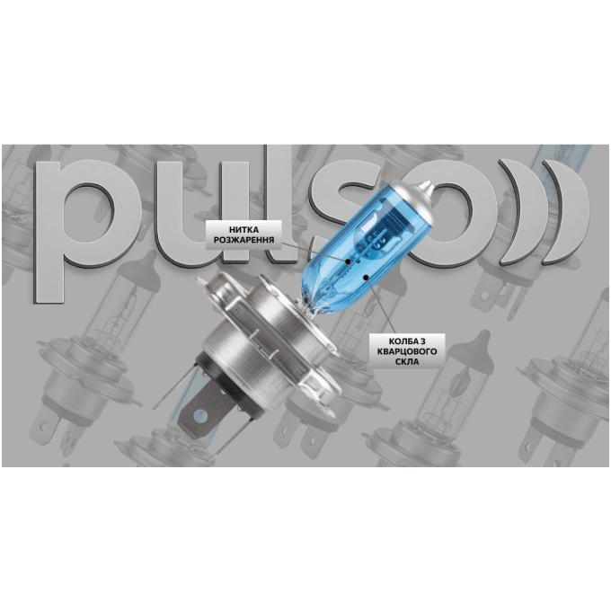 PULSO LP-72551
