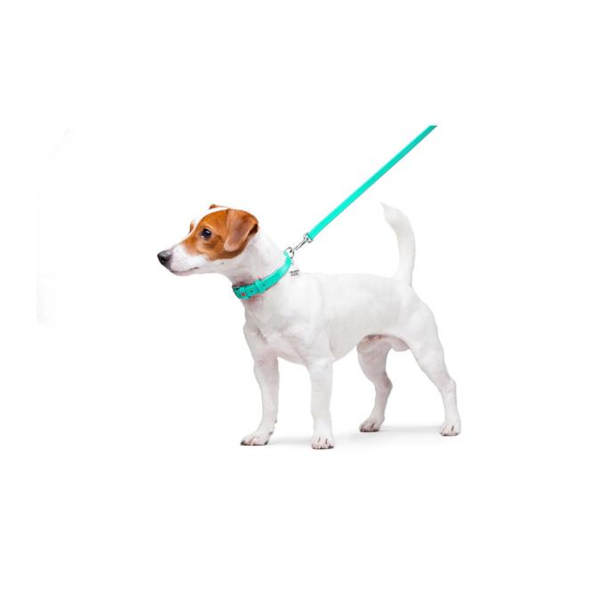 WAUDOG 337213