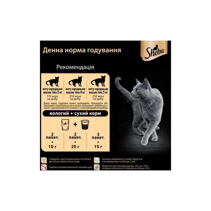 Sheba 4770608257231