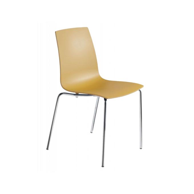 PAPATYA 2650