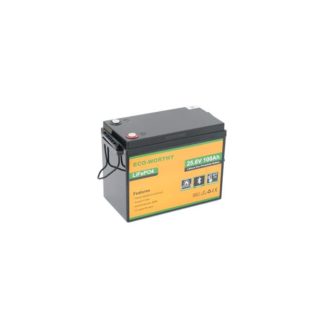 Dyness Eco-Worthy-251002
