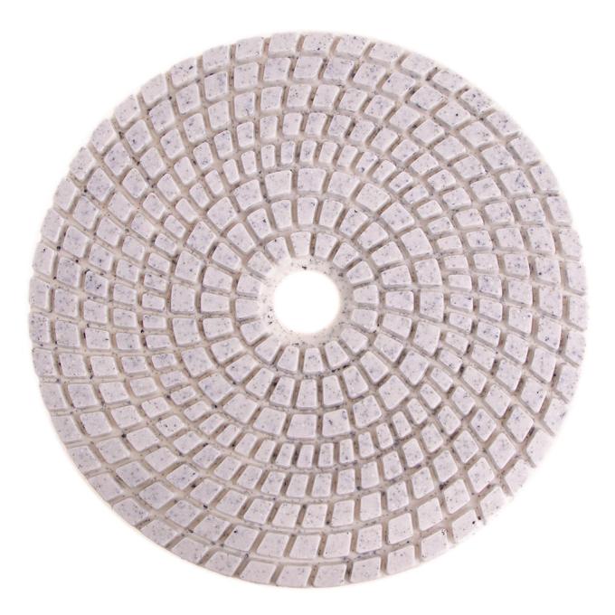 Alloid DD-100100