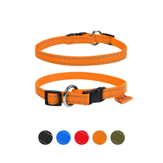 Dog Extreme 01624