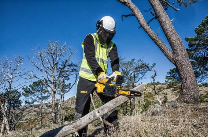 DeWALT DCM565N