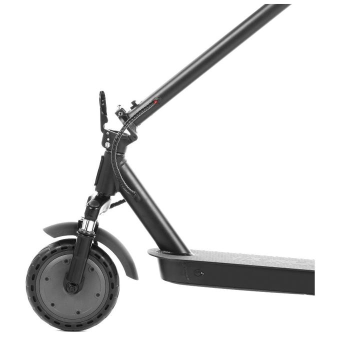 Sensor 50005769