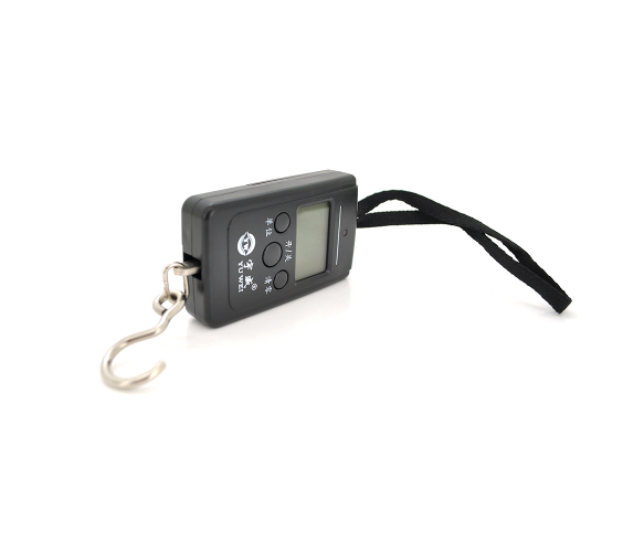 VOLTRONIC YT-LK / 10
