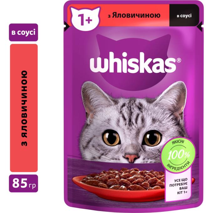 Whiskas 5900951301940