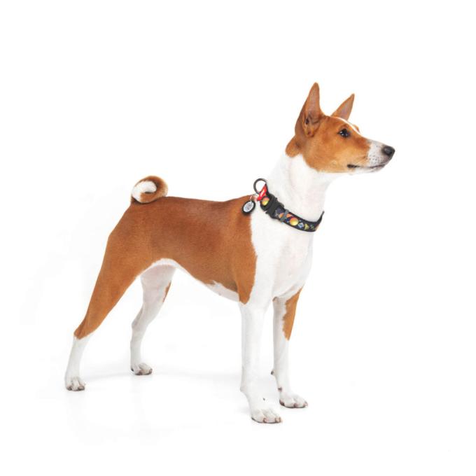 WAUDOG 4535-0282