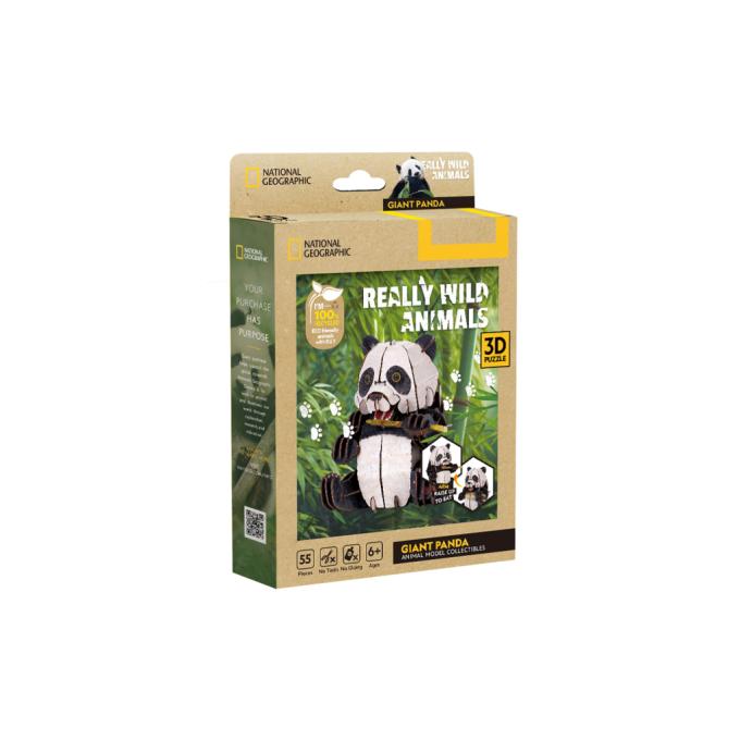 Cubic Fun DS1181h