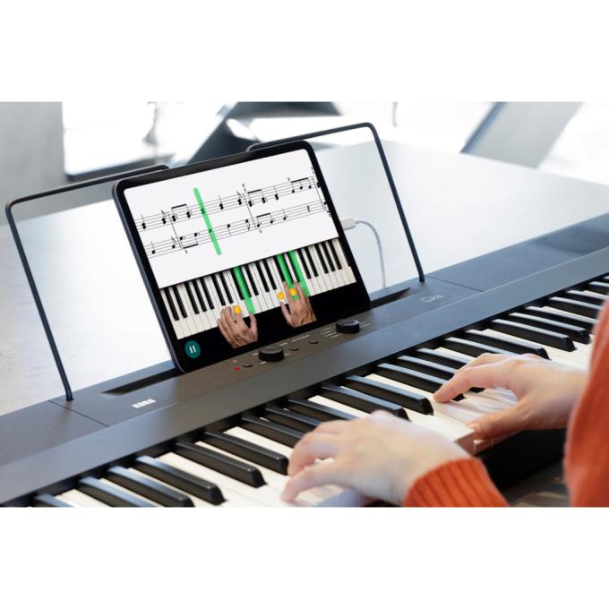 Korg 233800
