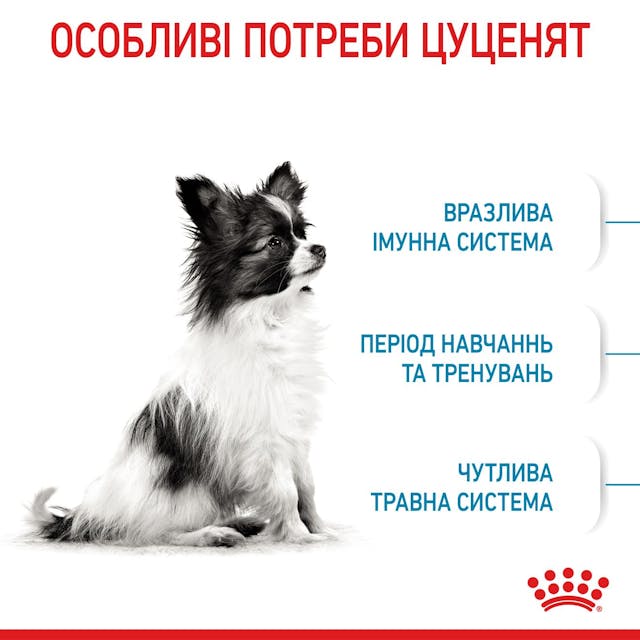 Royal Canin 10020051