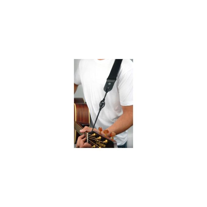 D'Addario DGS15