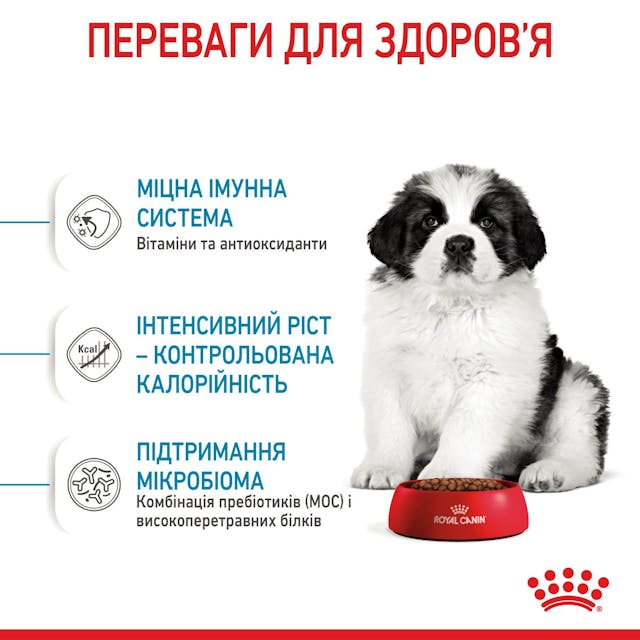 Royal Canin 3030010