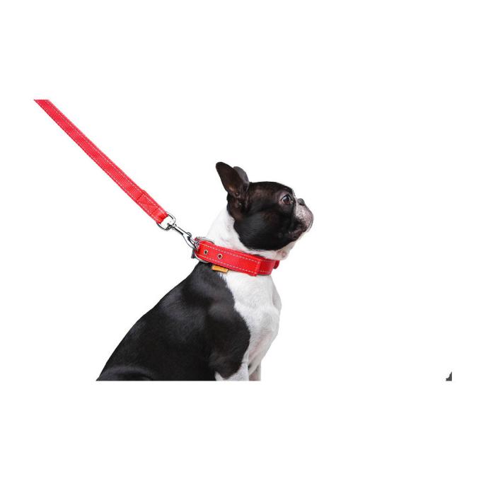 Dog Extreme 42983