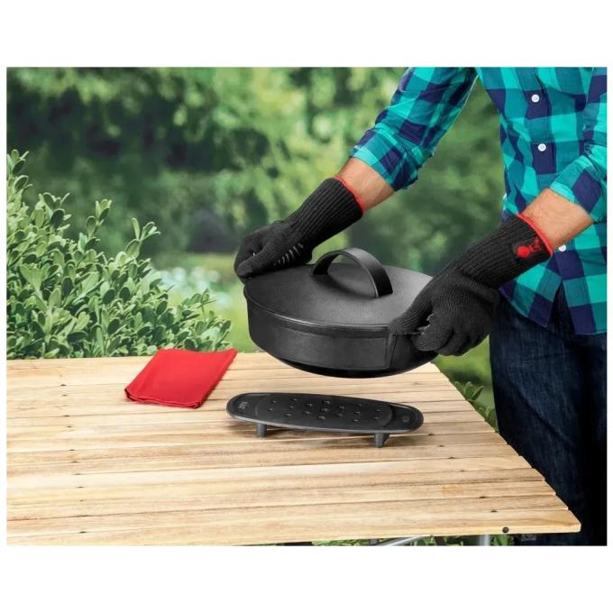 Weber 6670