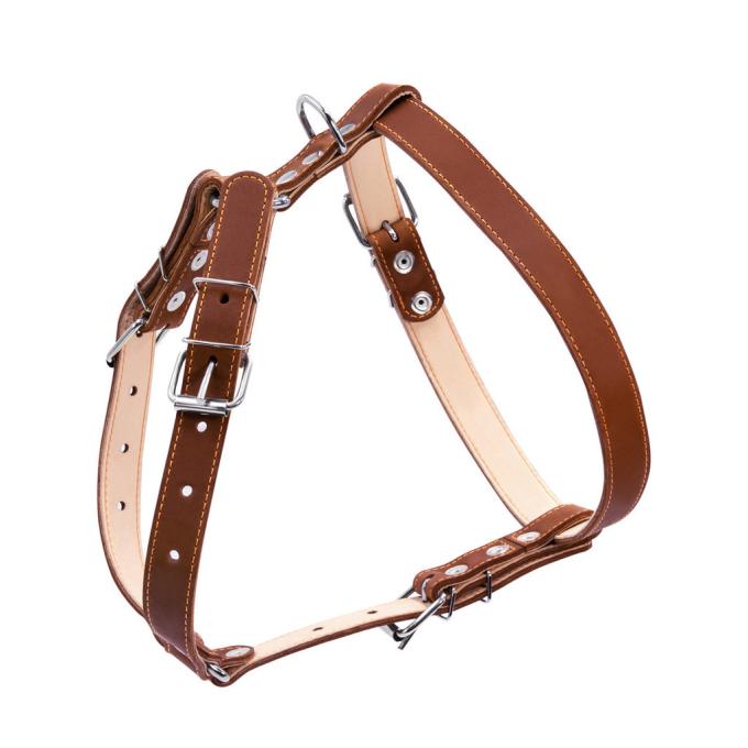 Collar 06426