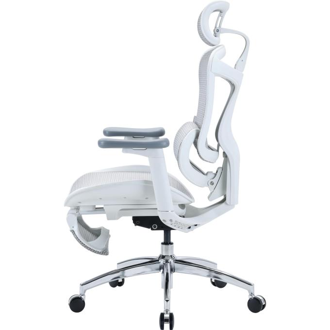 Sihoo DORO-C300L-A3-102-JT