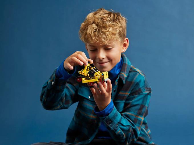 LEGO LEGO 42163