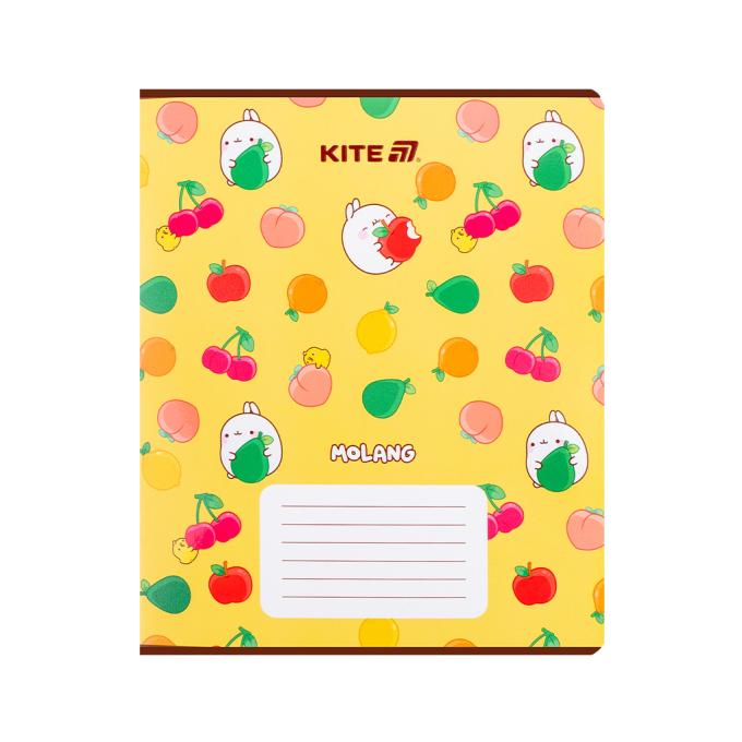 Kite ML25-237