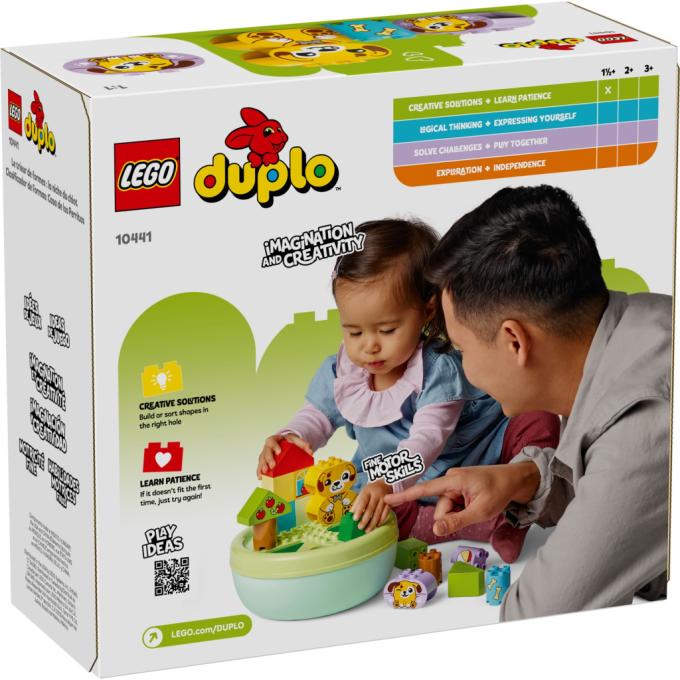 LEGO 10441